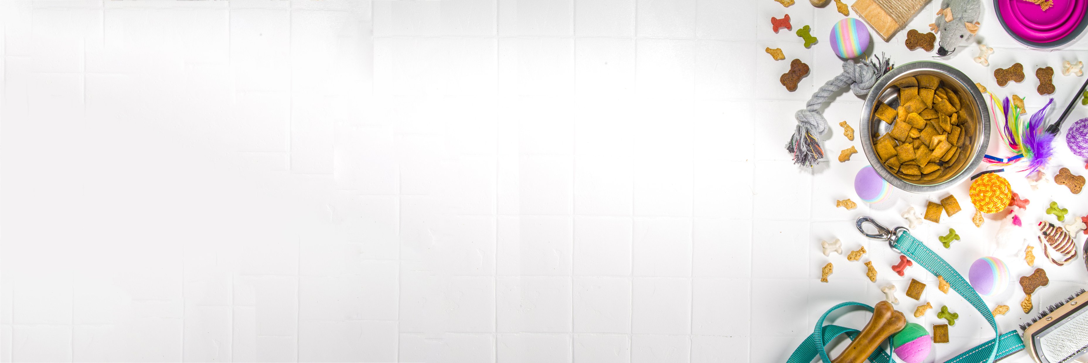 Pet Food and Accessories